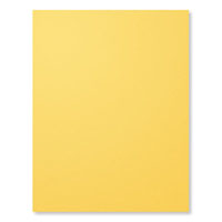 Daffodil Delight 8-1/2" X 11" Card Stock