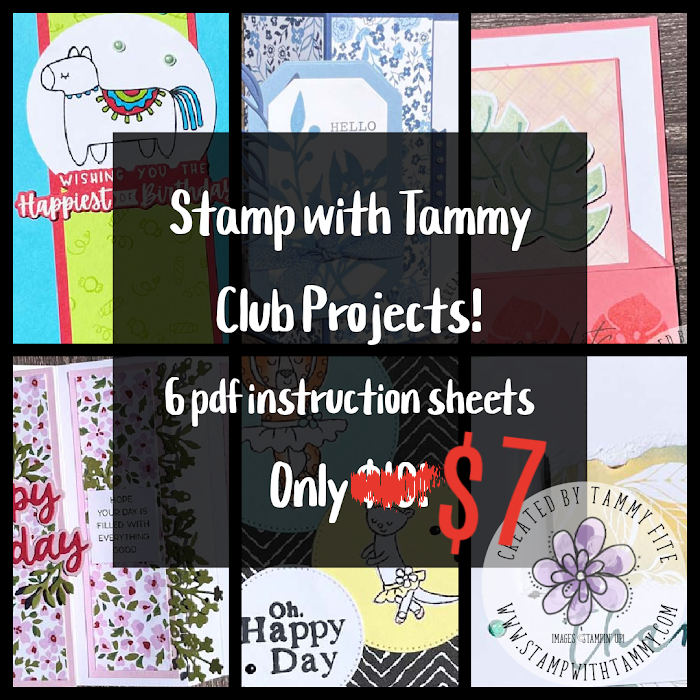 July Club Projects disc