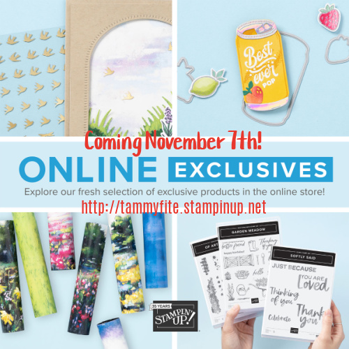 New Products Nov 7th!