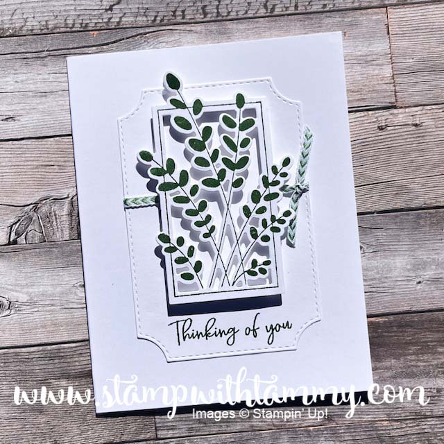 Friendly Foliage with Video!