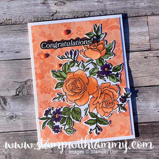 Layers of Beauty in Timid Tiger