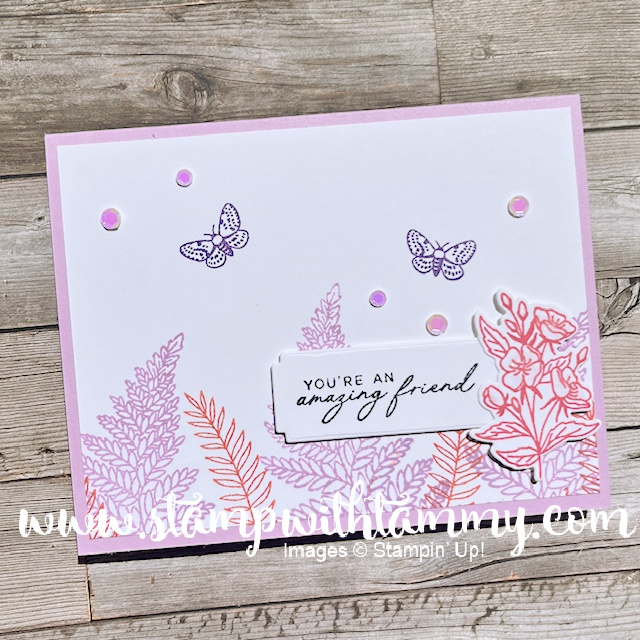 Fern & Flora — Sneak Peek!!