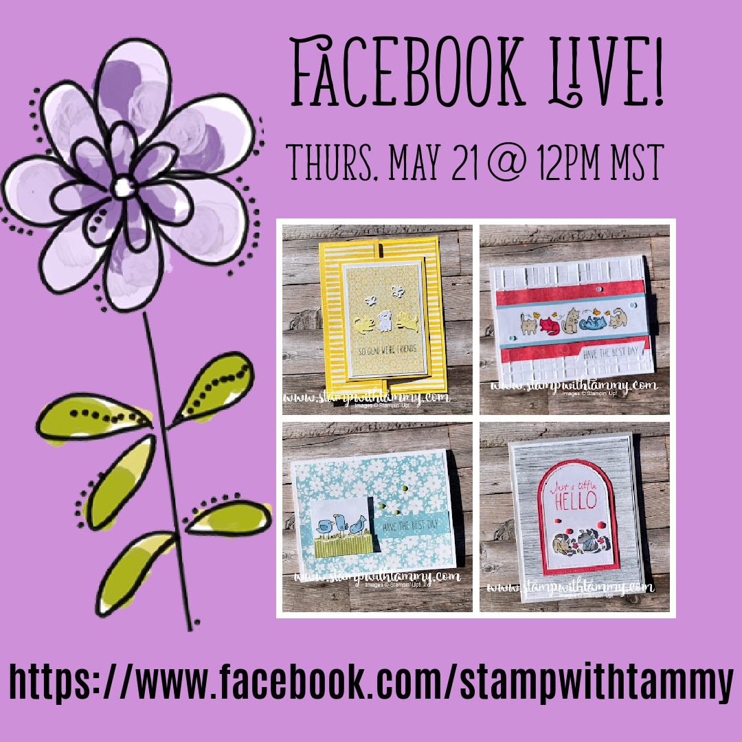 Cutest Crew!  FB Live Replay (5.21.26)