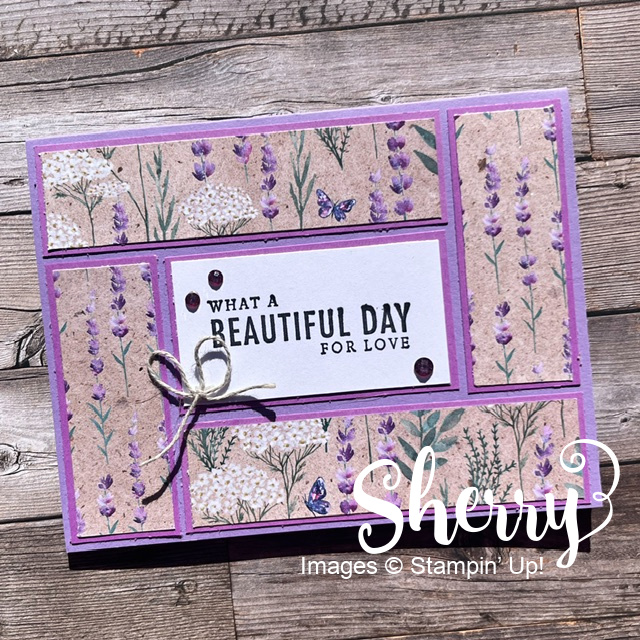Stamp Camp Card Contest!!