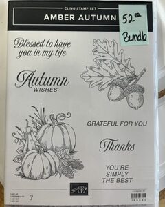 Amber Autumn Bundle