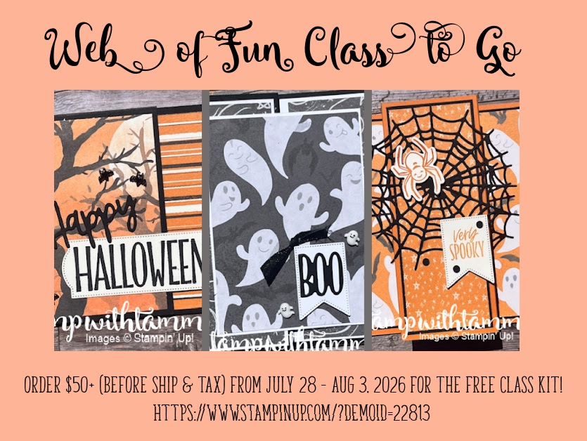 Web of Fun Class to Go